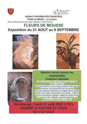 EXPOSITION "FLEURS DE MOUSSE" créations végétales de Béatrice GOMEZ