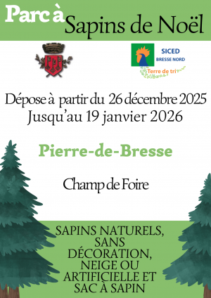 Dépôt des sapins naturels après les fêtes